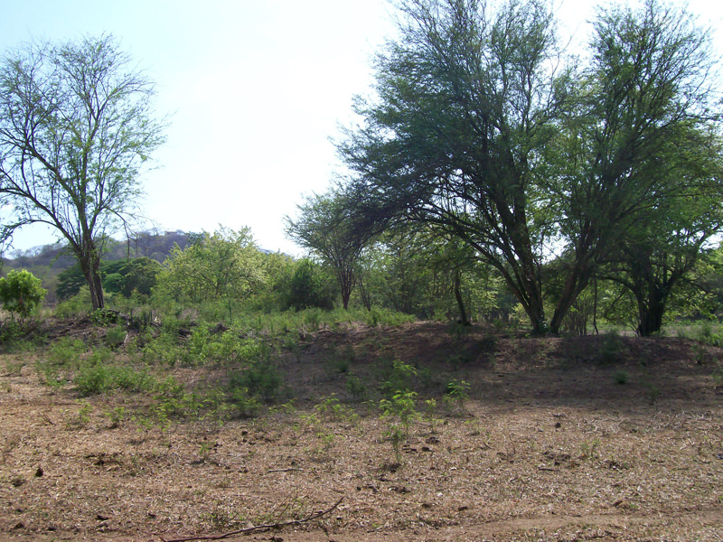 land for development near the beach in guanacaste view 011.jpg