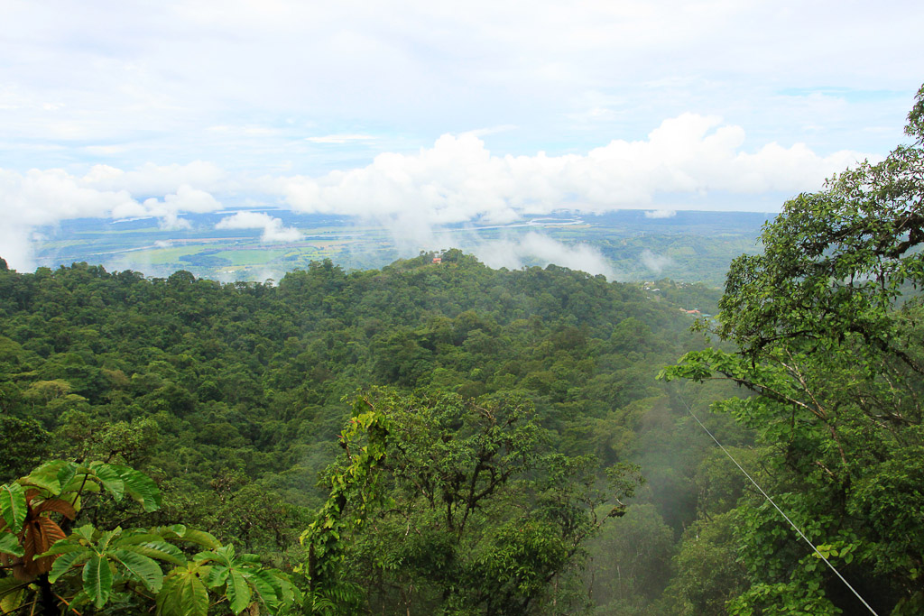 superman de osa view 4.jpg