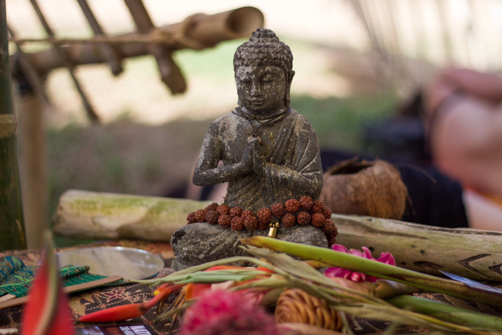 Buddha Envision Festival Costa Rica