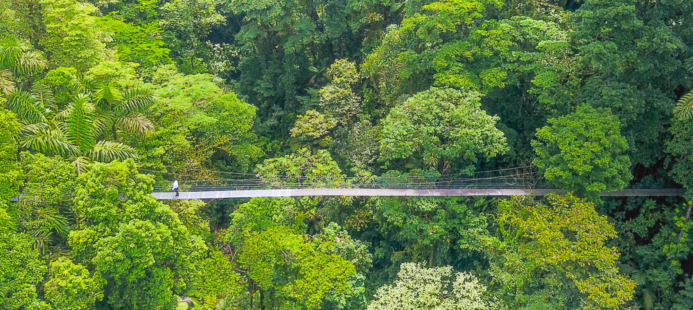 A Person Standing On Arenal Hanging Bridges Mistico Park Aerial View