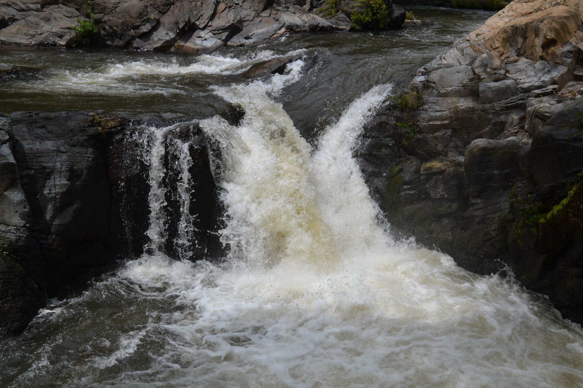 rapids no raft tenorio 14.jpg