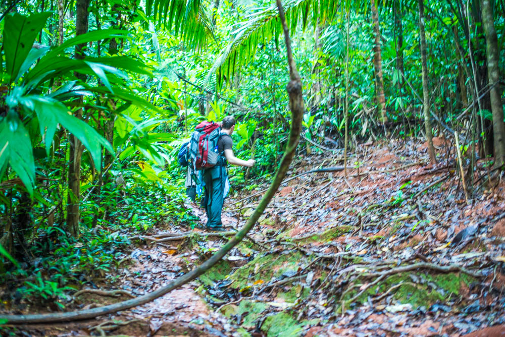 Hikers On The Los Patos Trail