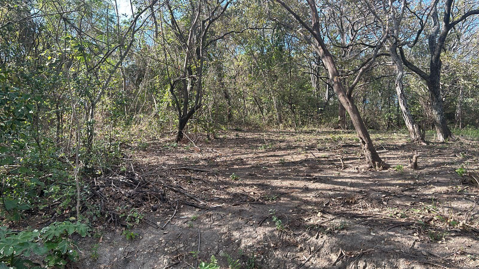 santa ana route 27 frontage 8 8 acre parcel buy one or all three parcel view 019.jpeg