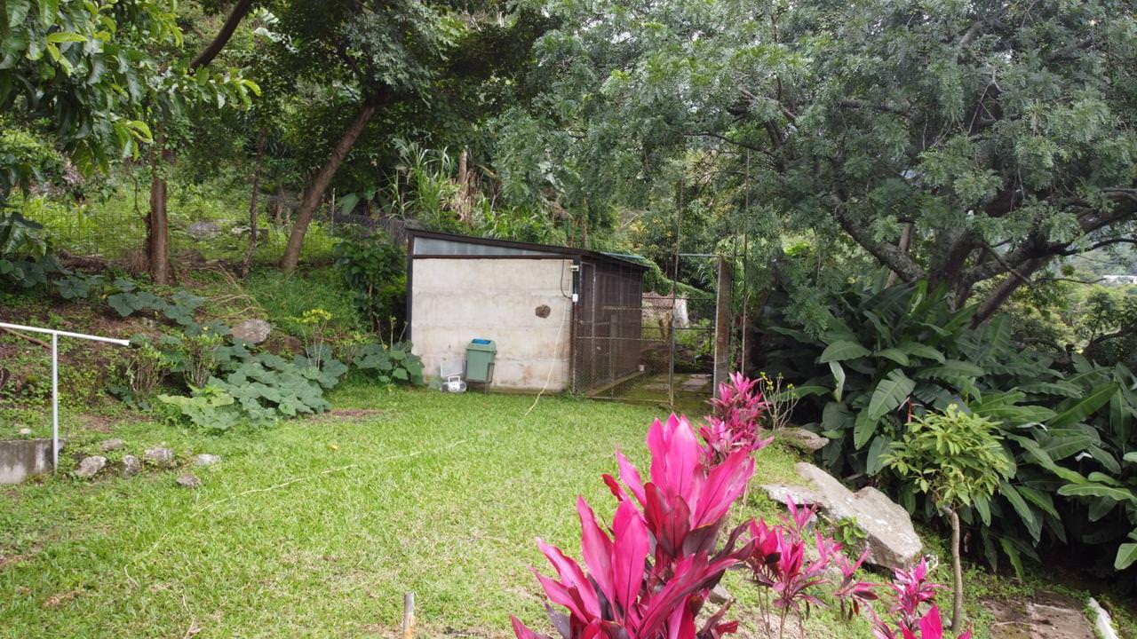 land with structures for wildlife rescue center in santa ana view 021.jpeg