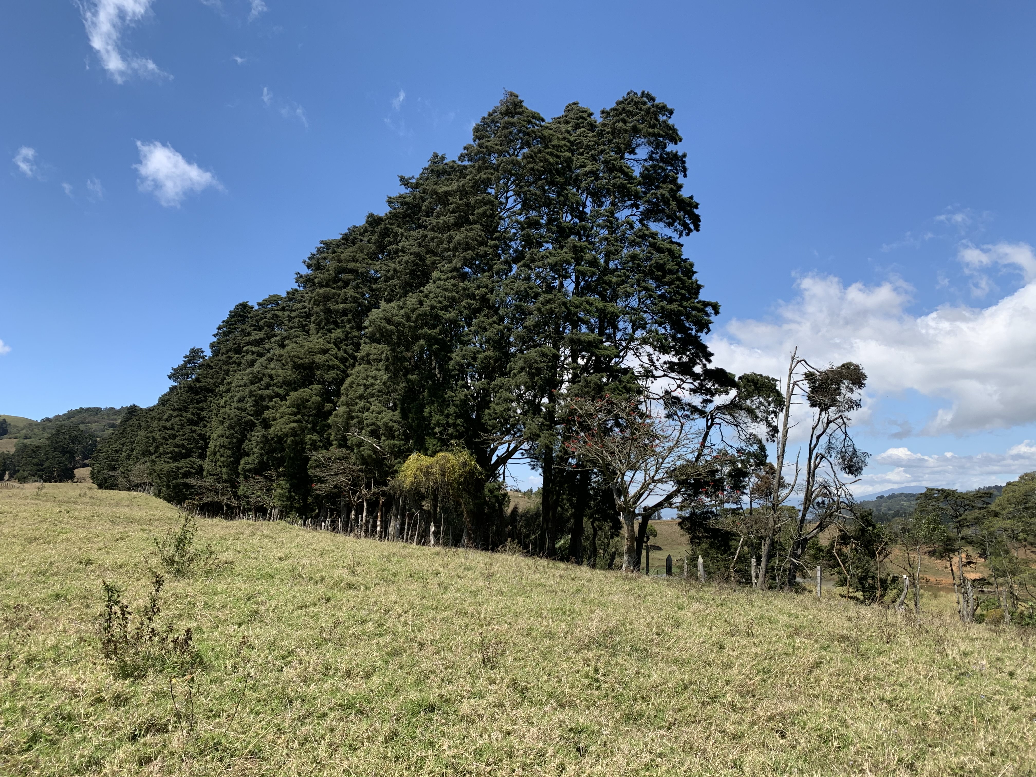 land for industrial development near cartago city view 001.jpg