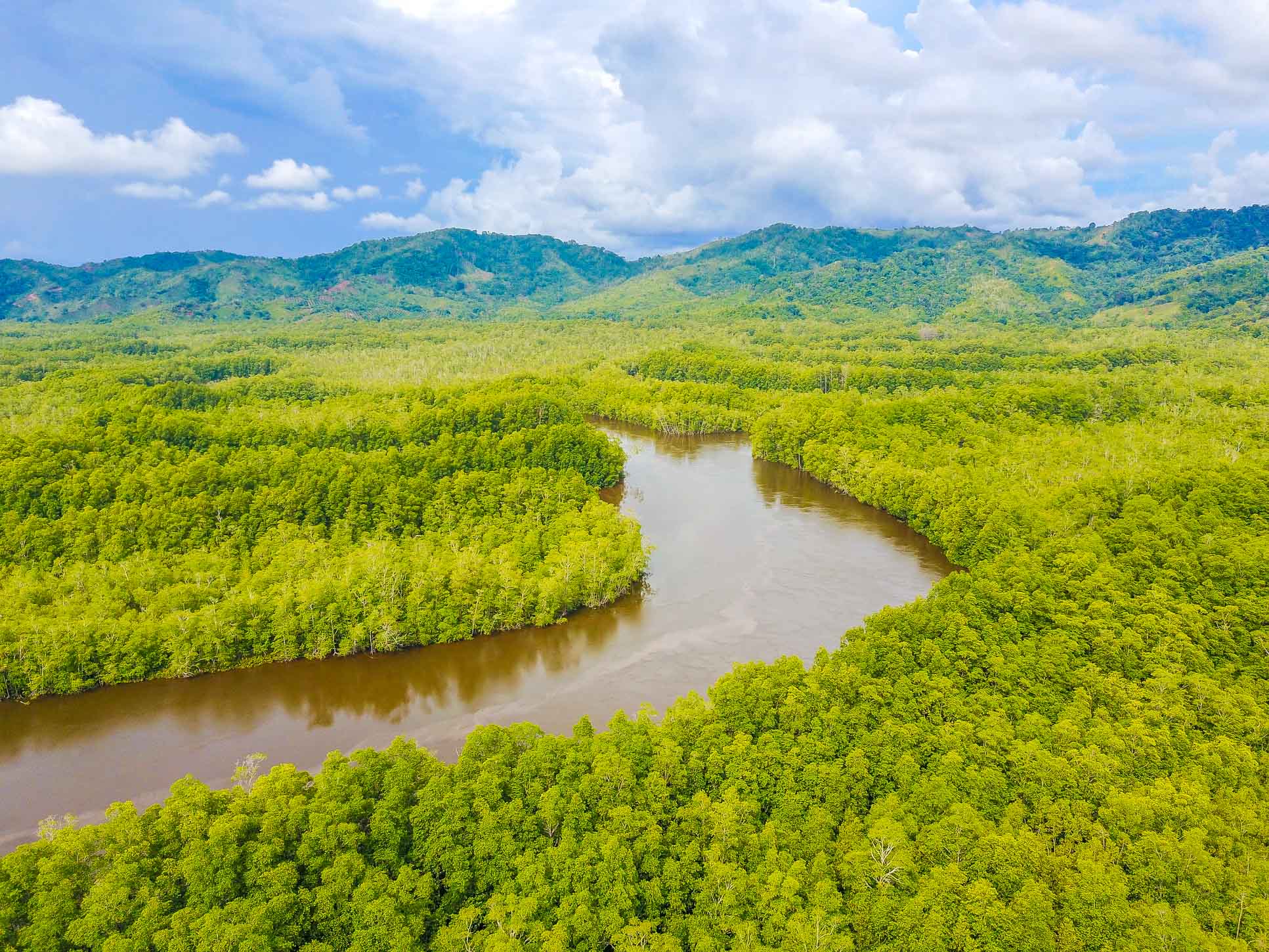 sierpe wetlands aerial views 16.jpg