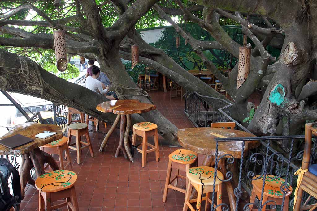 treehouse dining room 1.jpg