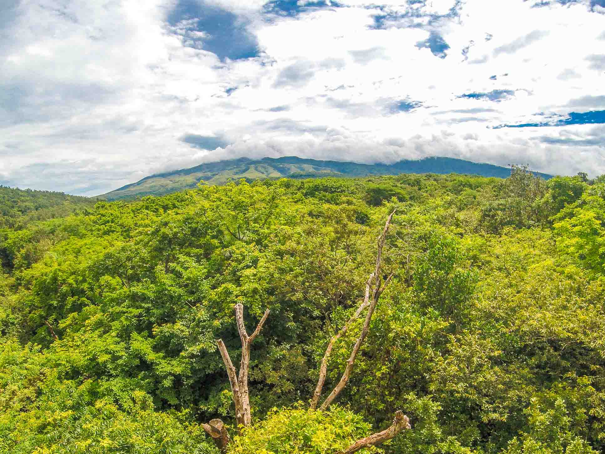 Rincon De La Vieja Volcano Cloudy Day View At The White River Canyon Zip Line Rincon De La Vieja