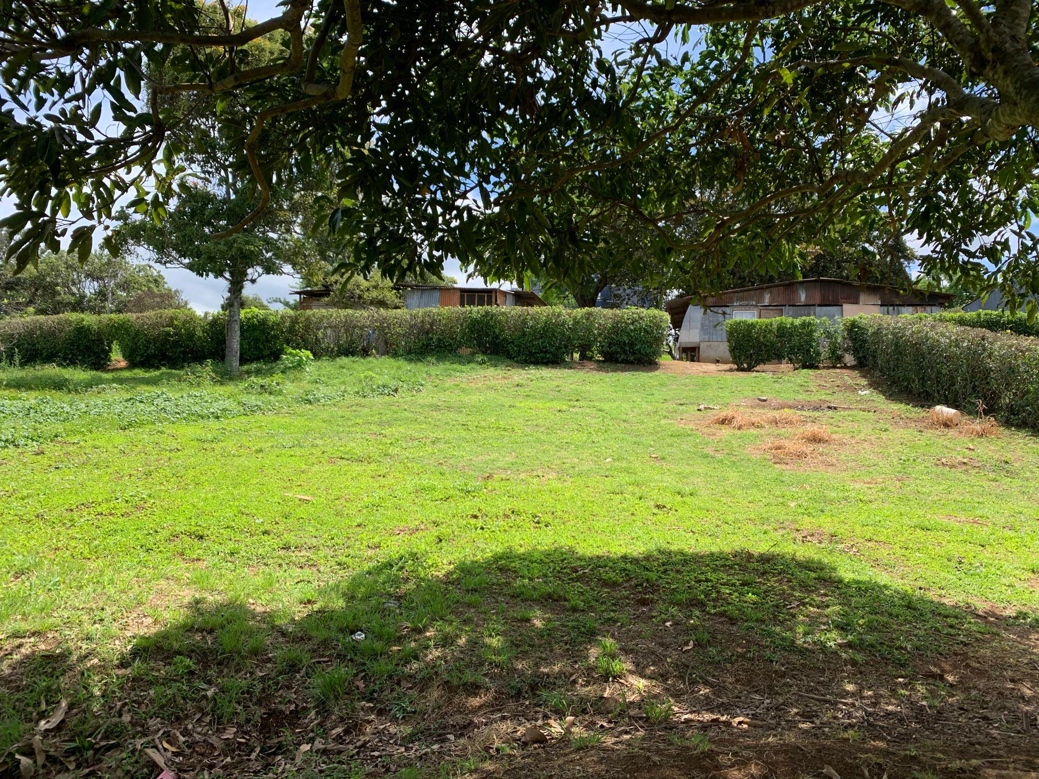 adjacent lots available in up in the hills of heredia buy one or all view 011.jpeg