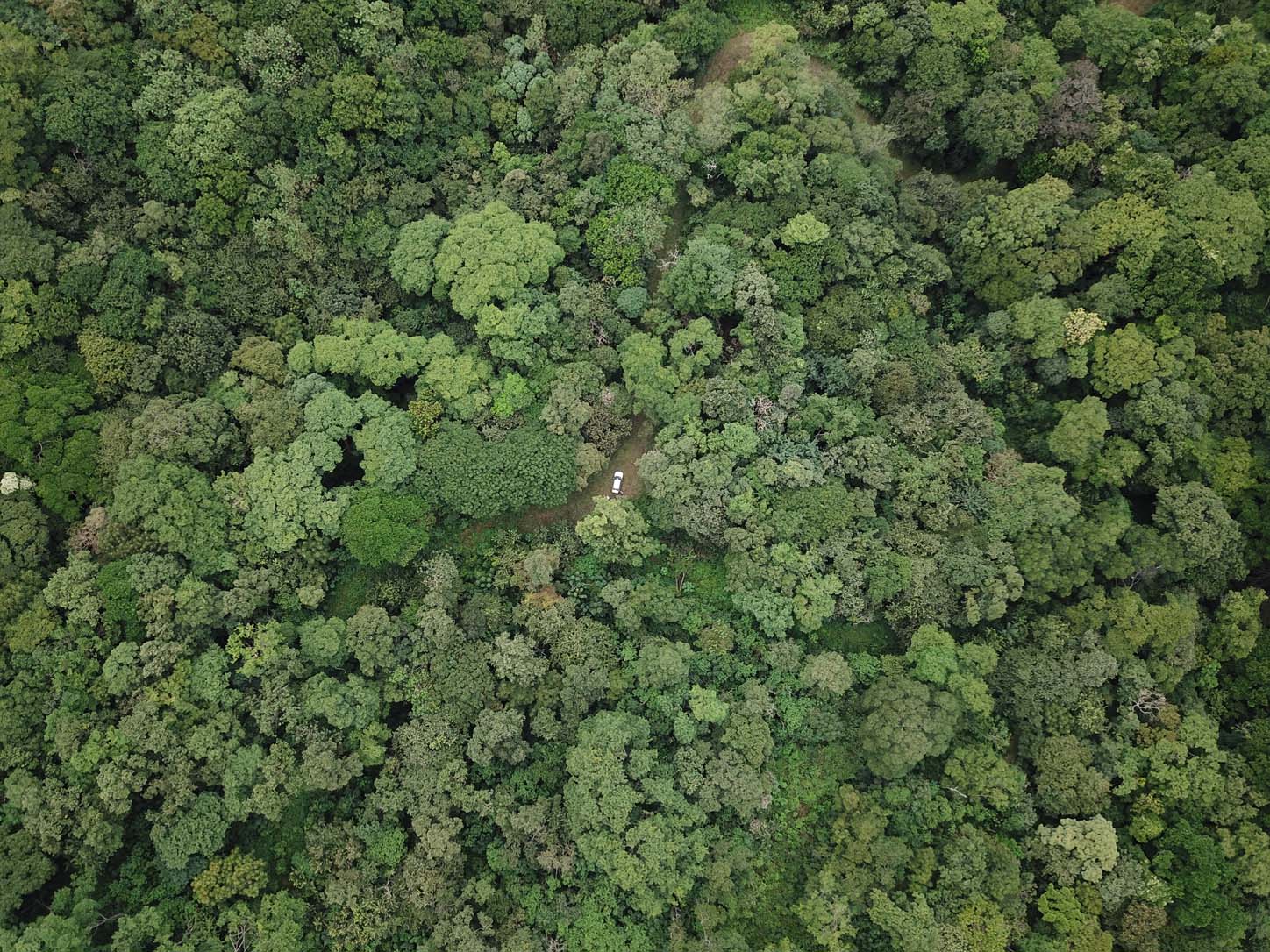 agricultural land for sale one hour away from liberia airport view 005.jpg