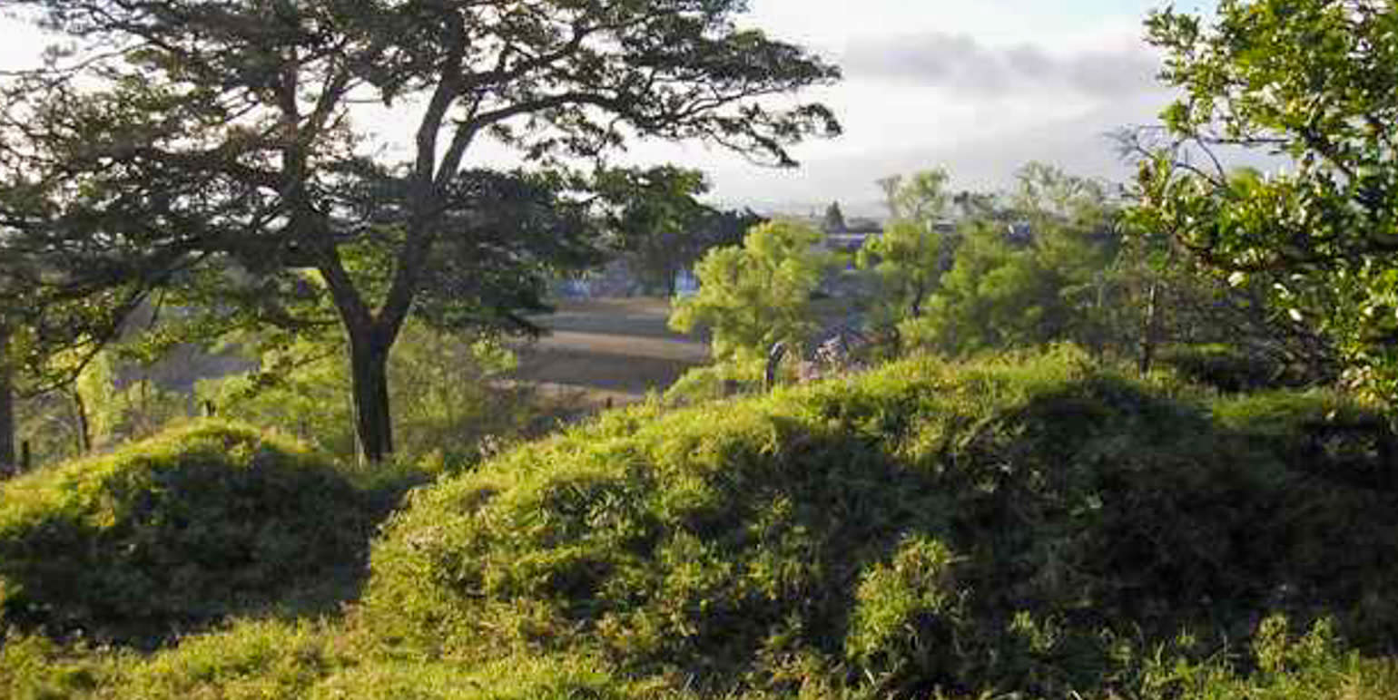parcel for urban development in the eastern side of san jose view 007.jpg