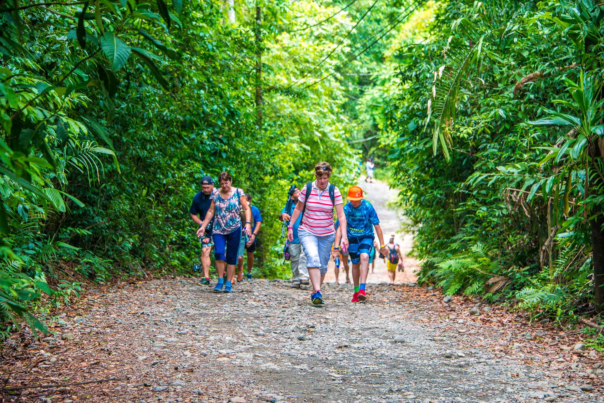 Sloth Trail Manuel Antonio National Park Sloth Trail