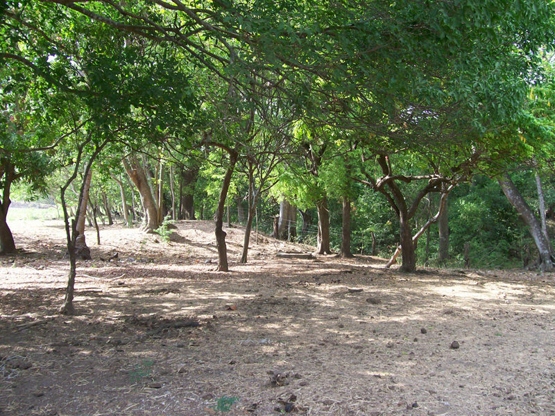 land for development near the beach in guanacaste view 006.jpg