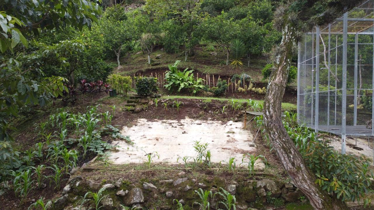 land with structures for wildlife rescue center in santa ana view 015.jpeg