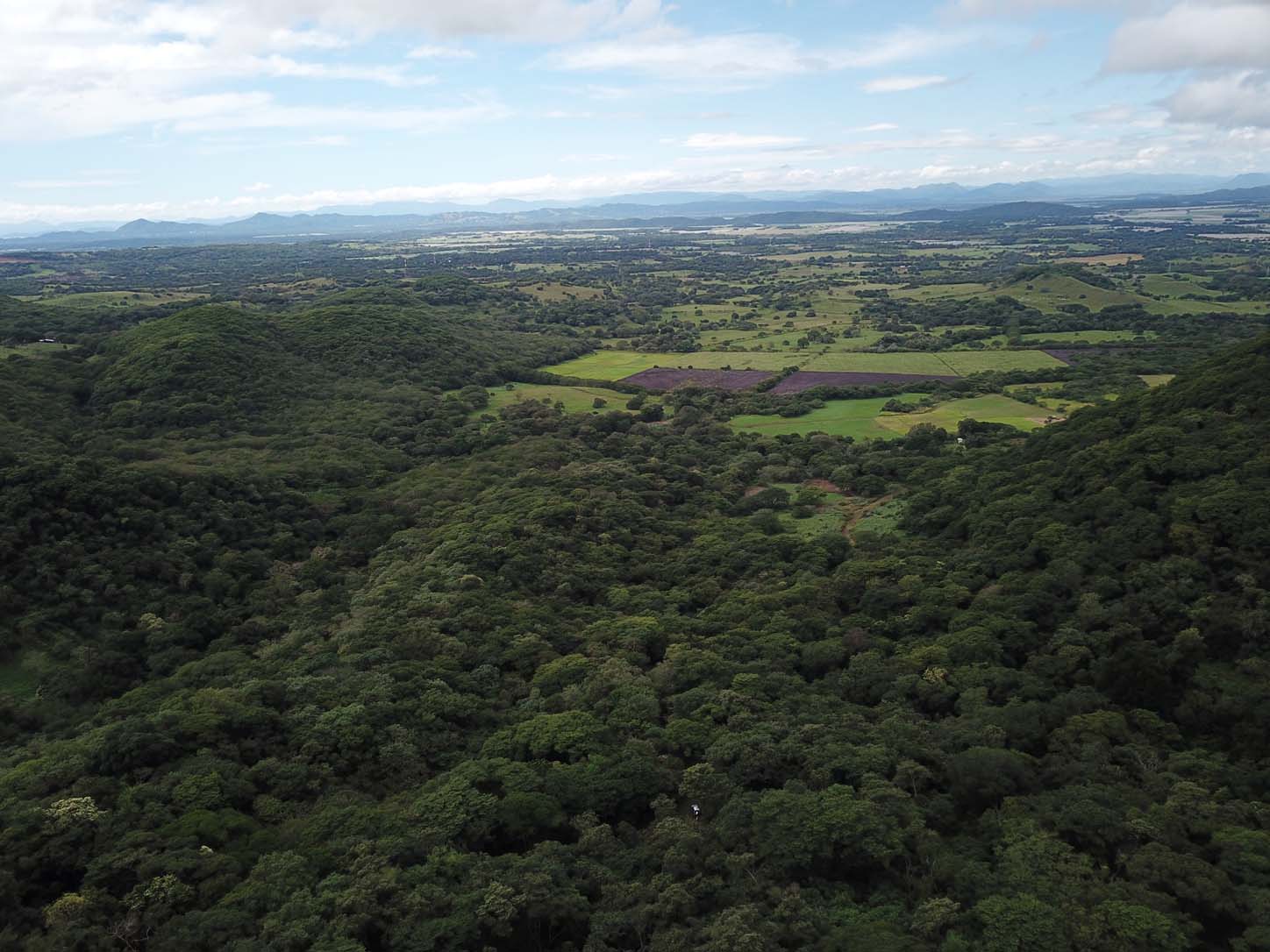 agricultural land for sale one hour away from liberia airport view 004.jpg