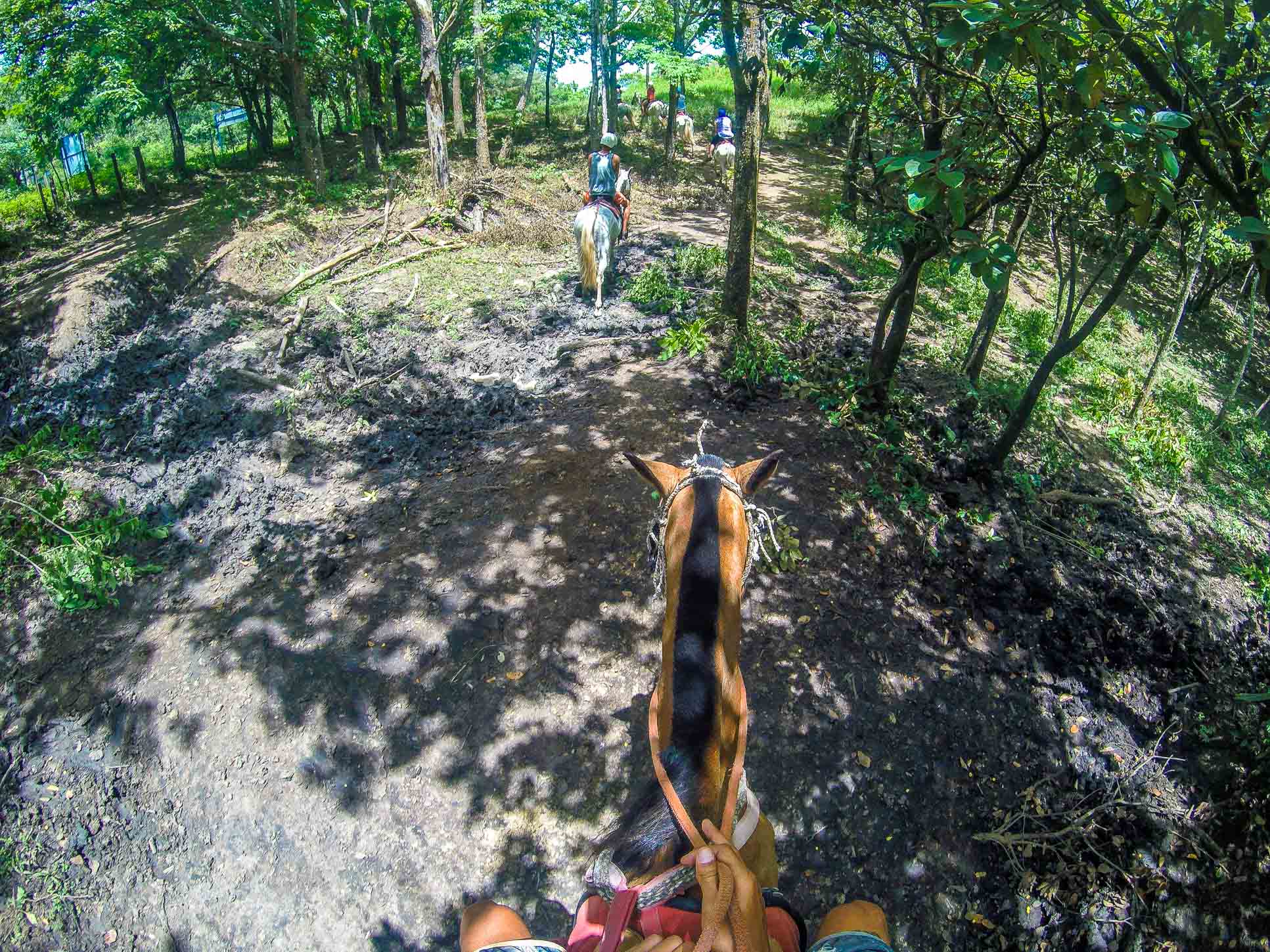 At The Tip Of A Hill Drapped In Forest Horseback Riding Rincon De La Vieja