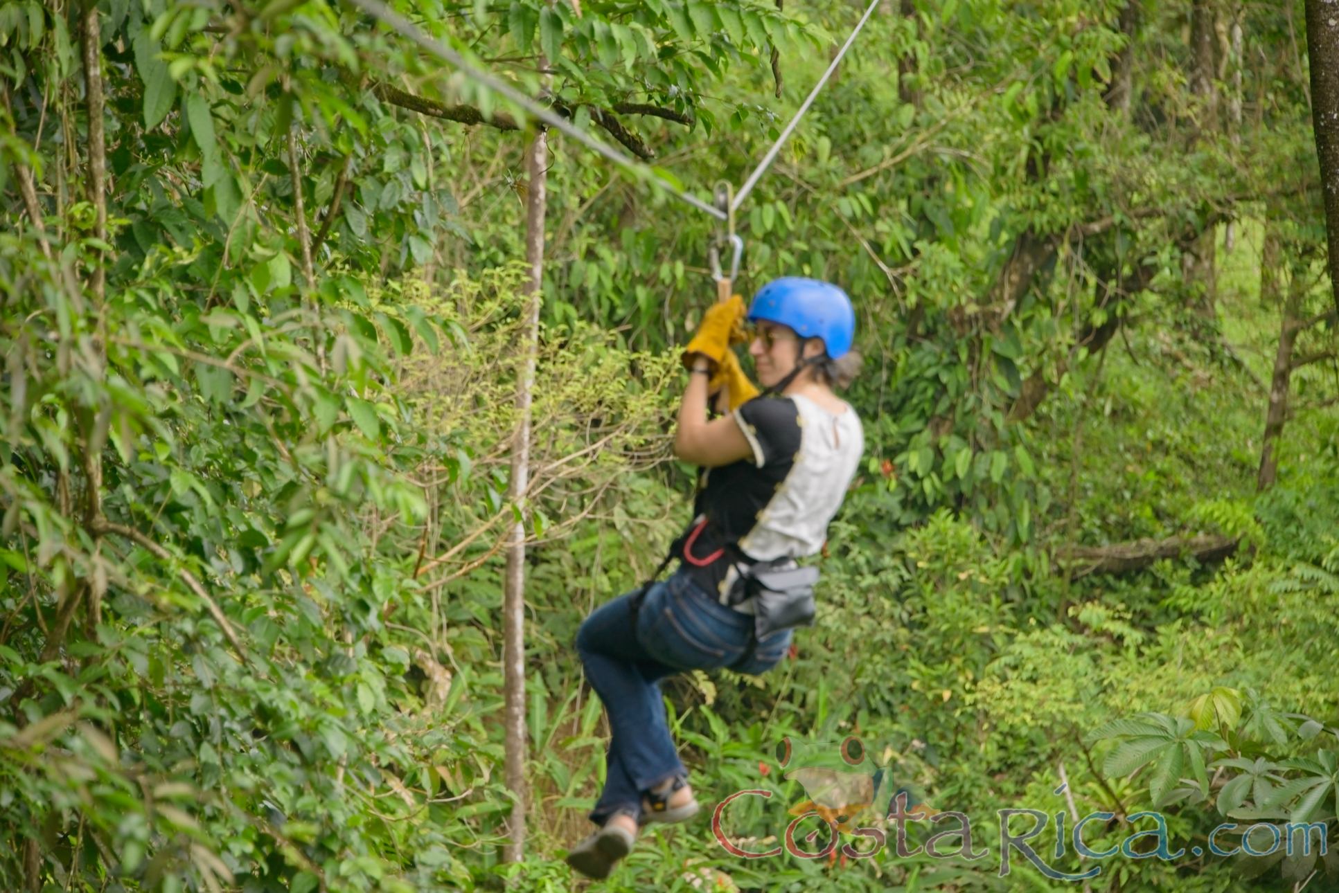 Woman Riding A Zip Line Cable Blue River Zipline Rincon De La Vieja