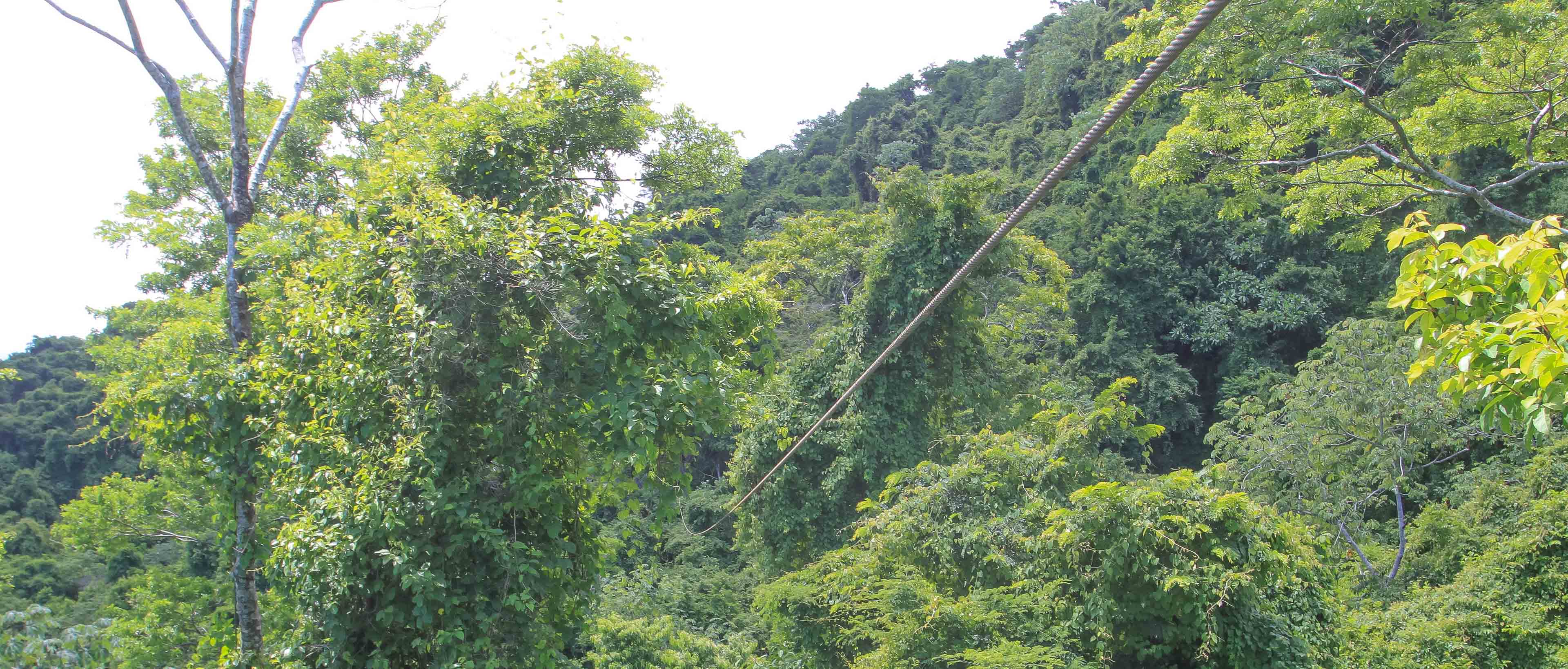 Zipline Canopy Mal Pais