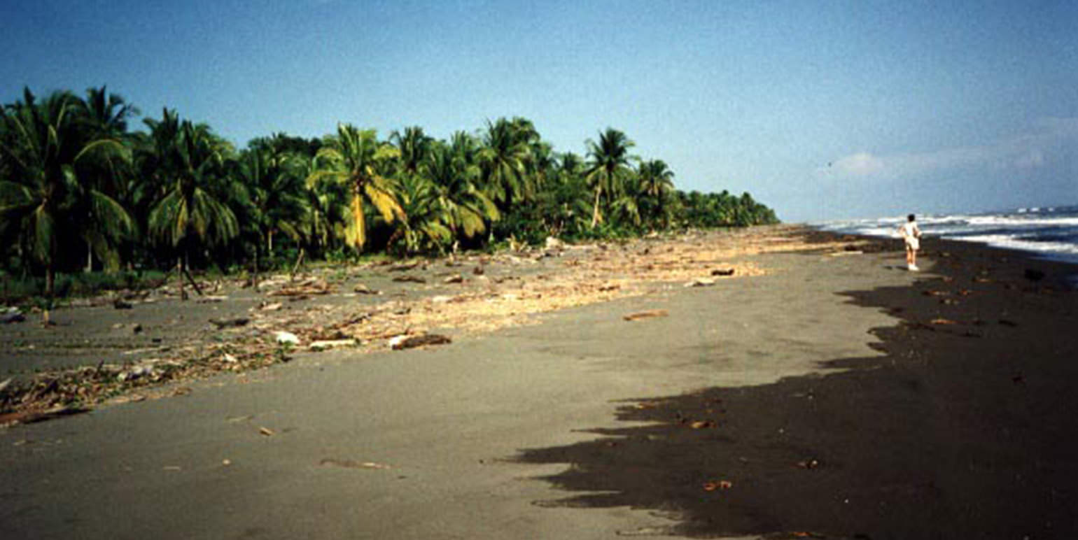 luxurious beachfront casino and resort community in the caribbean coast view 001.jpg