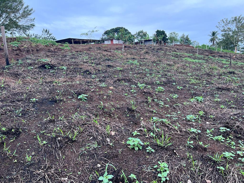 land for development 20 minutes from la fortuna view 003.jpeg