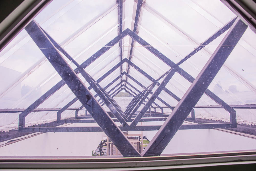 Roof Of Plaza Dorada Above The Hallways