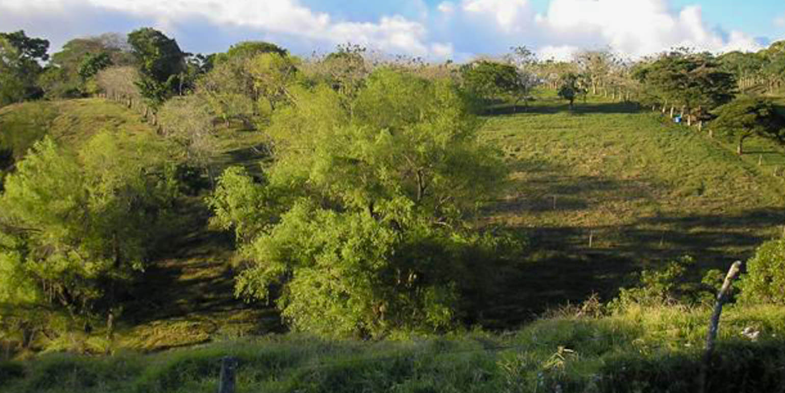 parcel for urban development in the eastern side of san jose view 003.jpg
