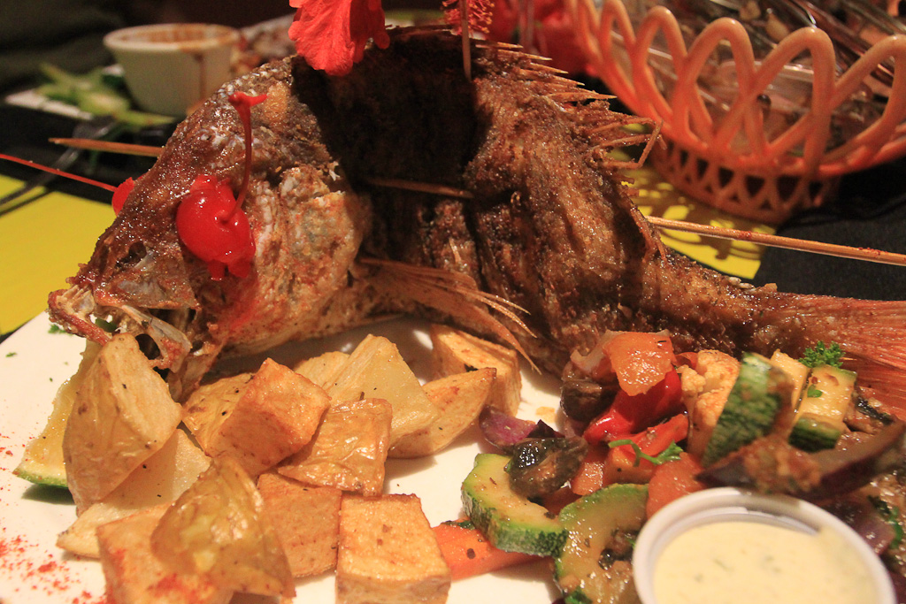 outback jacks fish 7.jpg