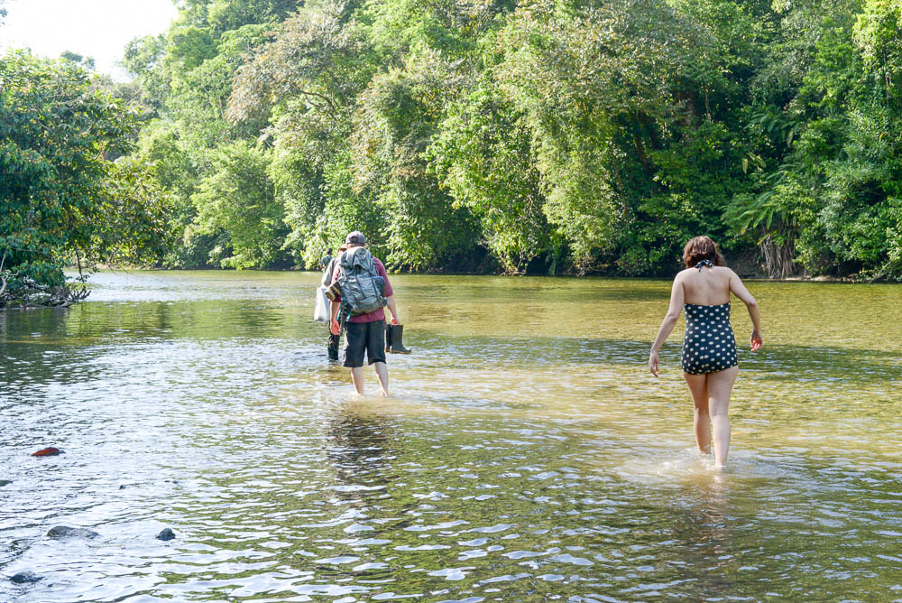 Hiking On Rio Claro Toward Its Rivermouth Corcovado National Park