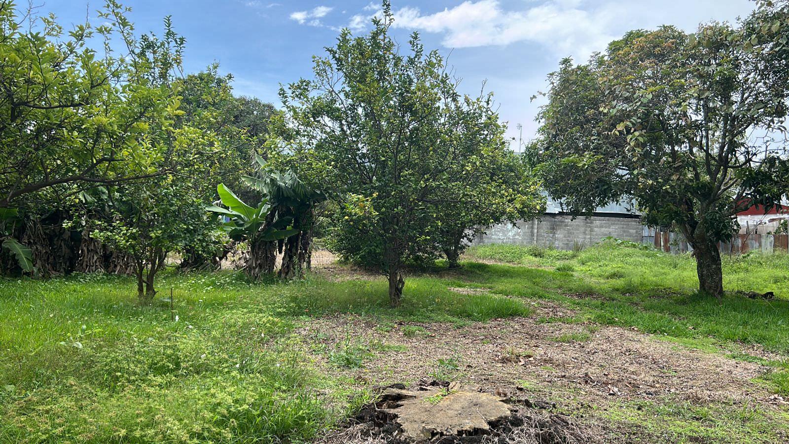 lot for development in the town of moravia view 015.jpeg