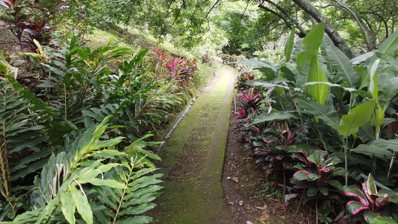 land with structures for wildlife rescue center in santa ana view 014.jpeg