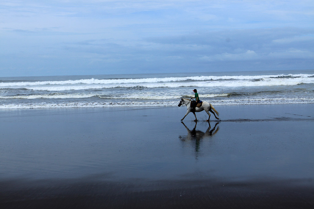 discovery horseback tour the beach 6.jpg