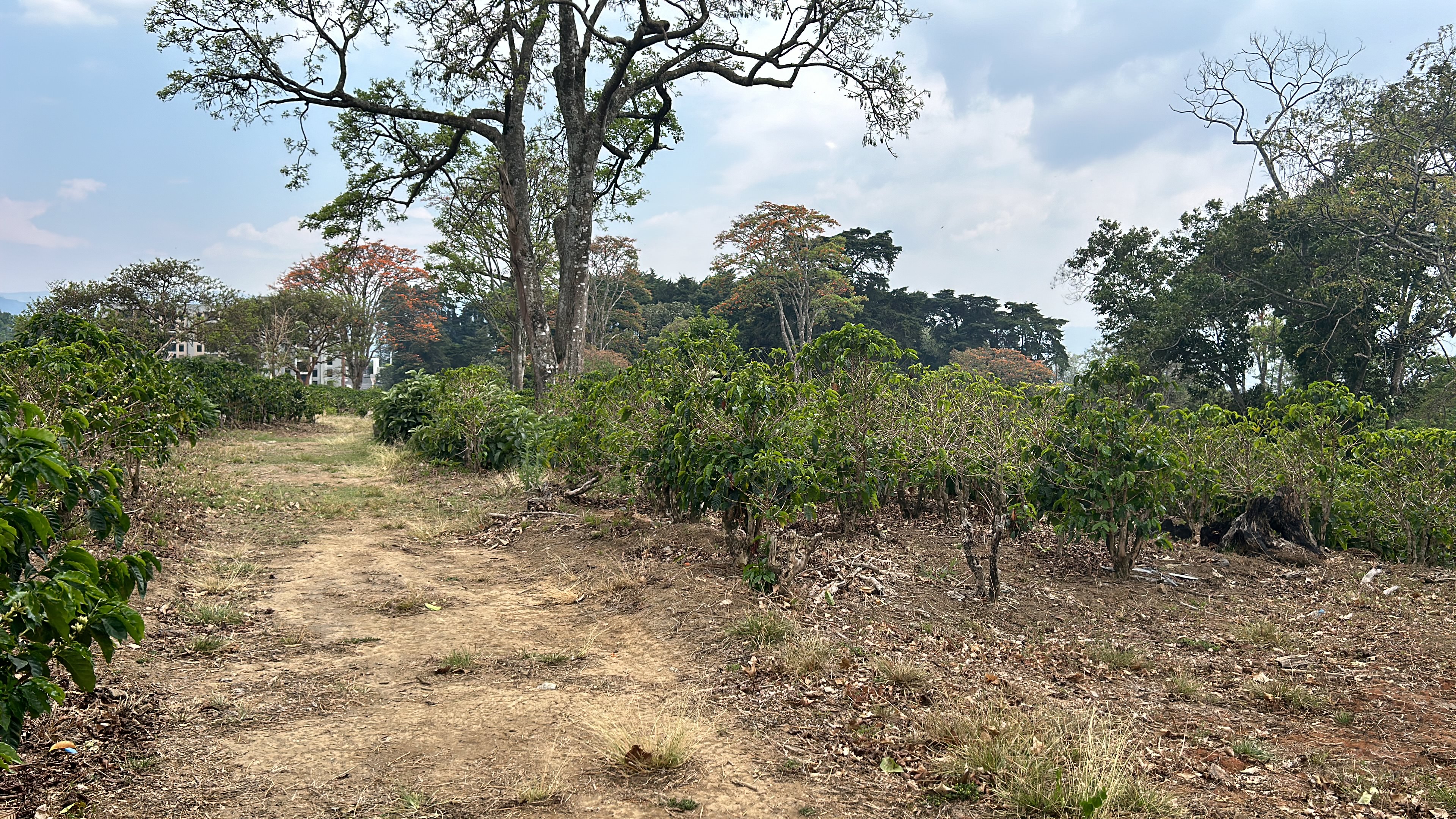 cul de sac residential development lot view 023.jpg