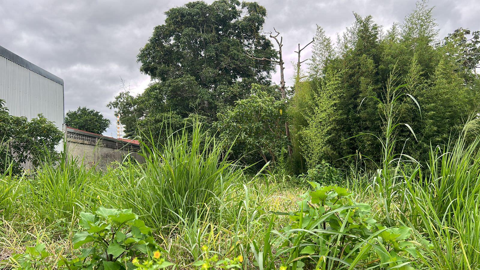 urban development site in sabana view 001.jpeg