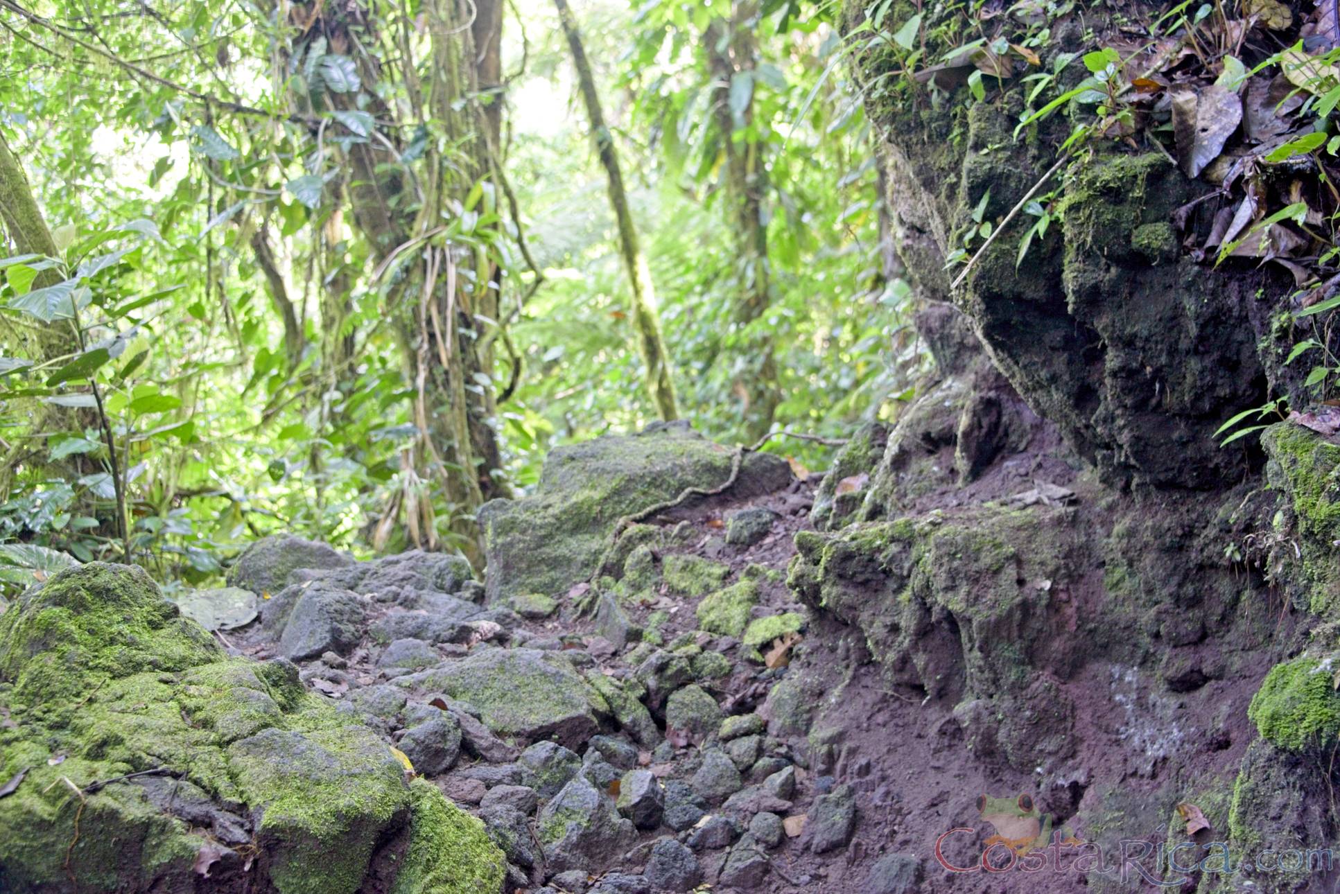 rocky trail arenal volcano 1968 eruption site lookout point.jpg