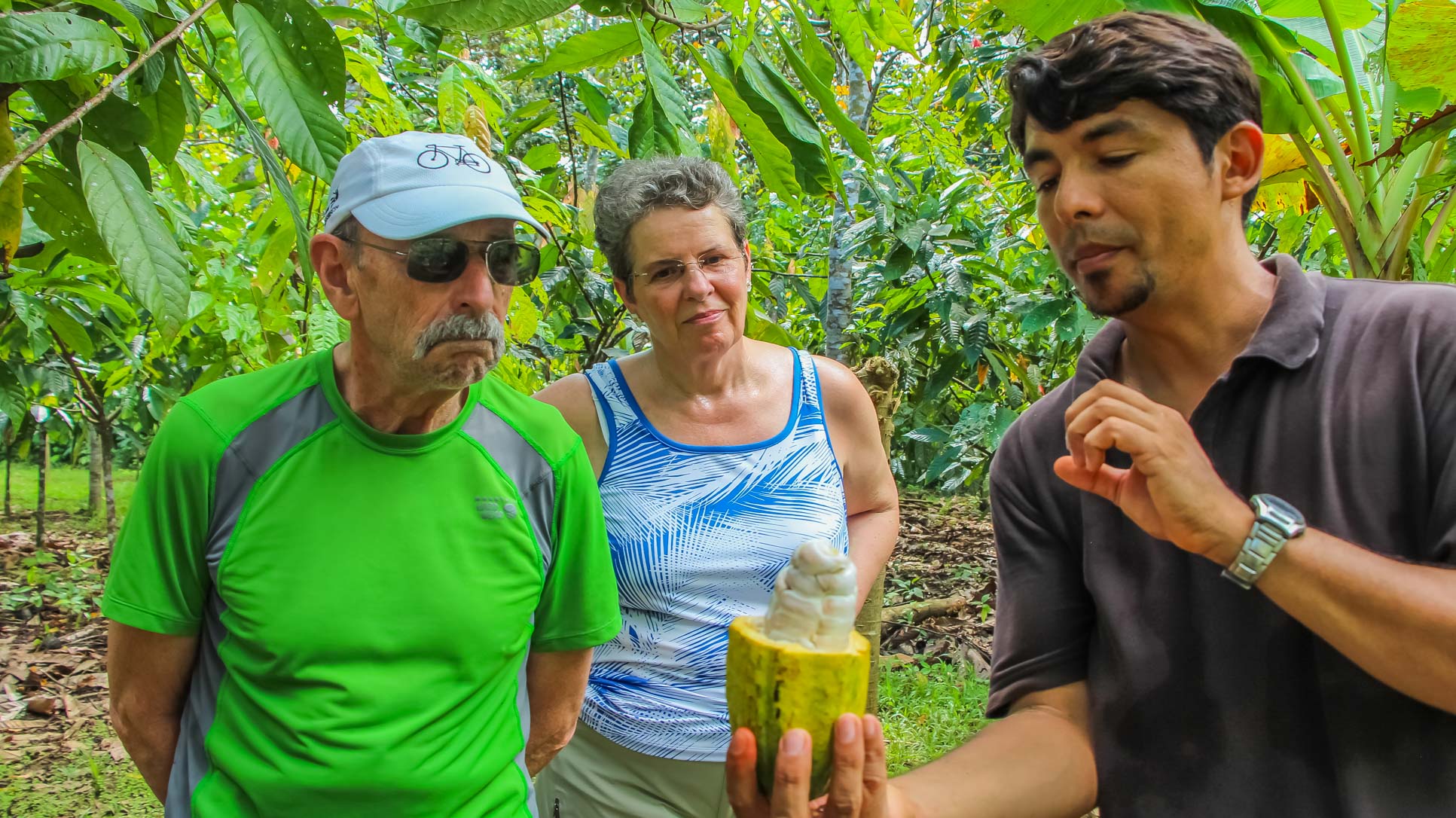 Open Cacao Fruit Finca Kobo Chocolate Tour