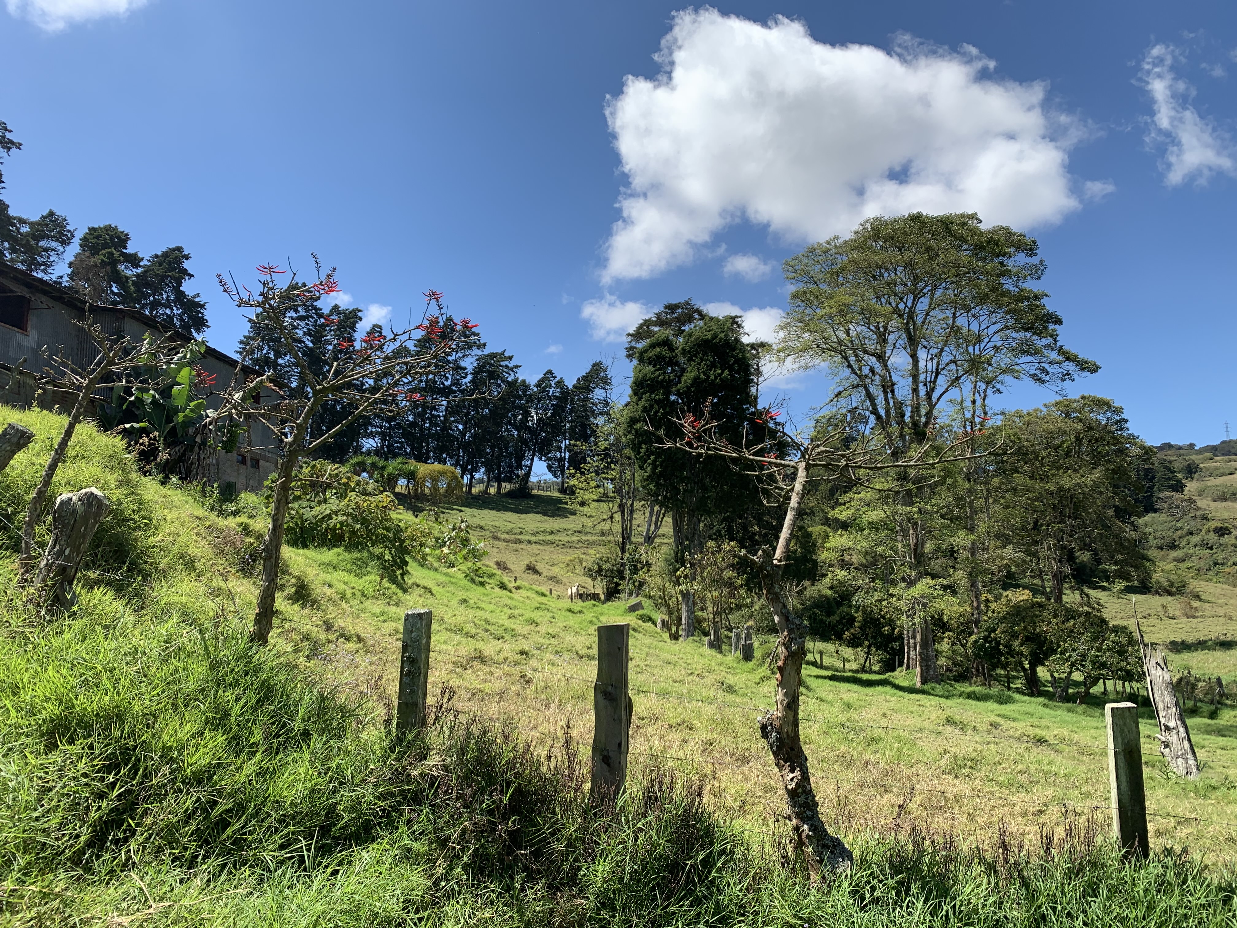 land for industrial development near cartago city view 006.jpg
