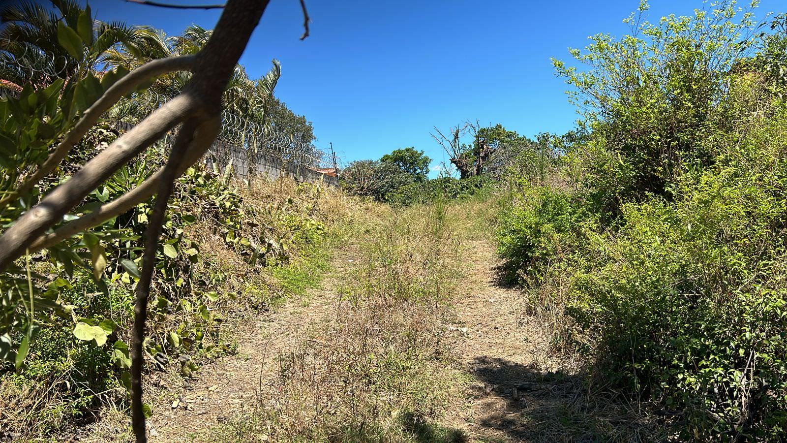 repurpose a coffee farm into a turn key mixed use development complex view 002.jpeg