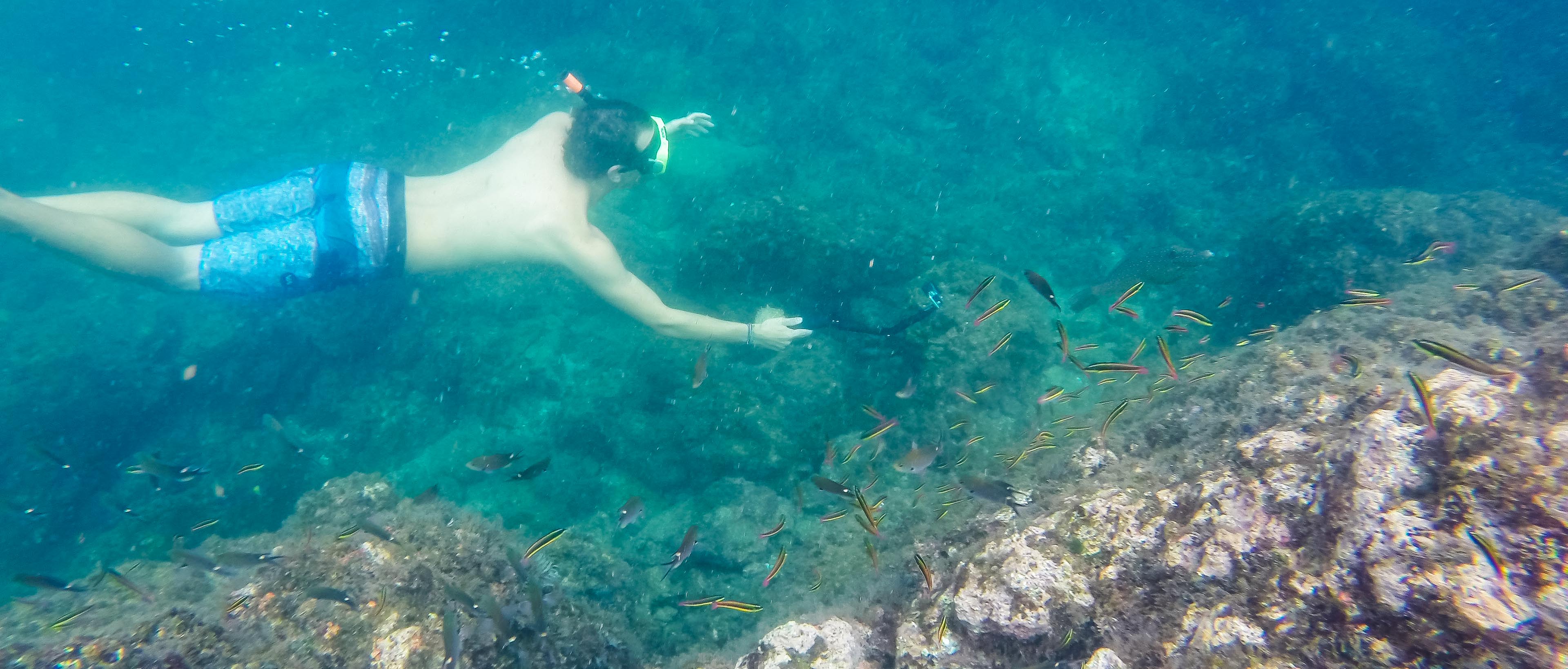 snorkel guide underwater 4.jpg