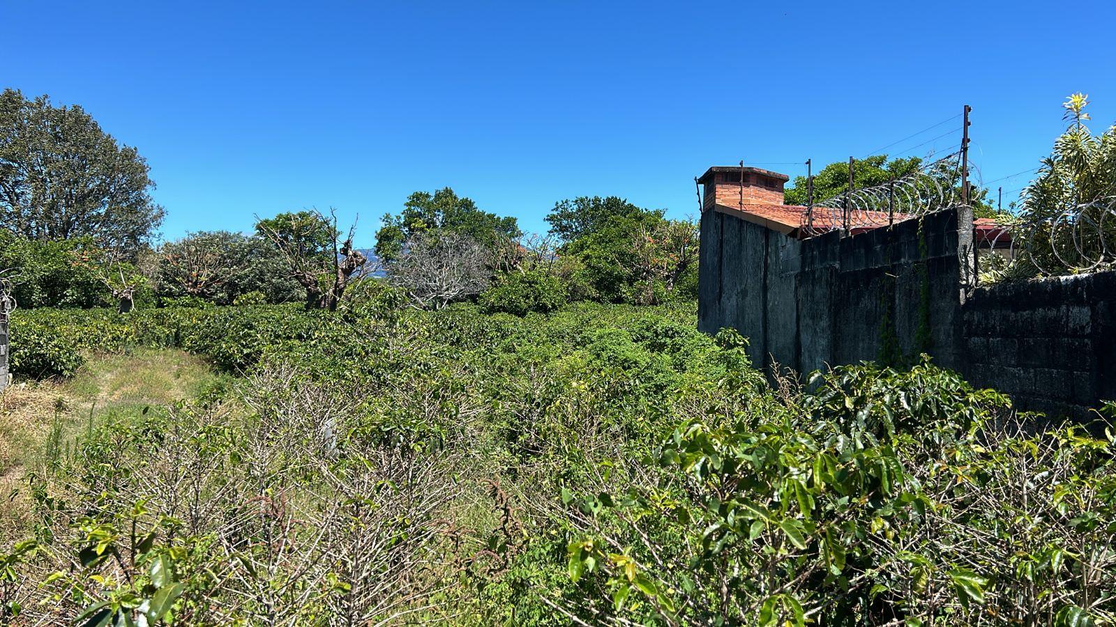 repurpose a coffee farm into a turn key mixed use development complex view 001.jpeg