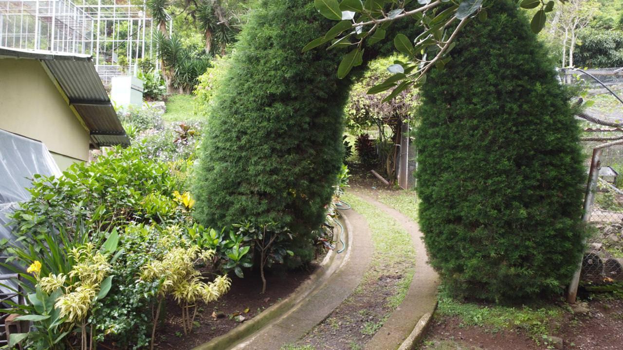 land with structures for wildlife rescue center in santa ana view 030.jpeg