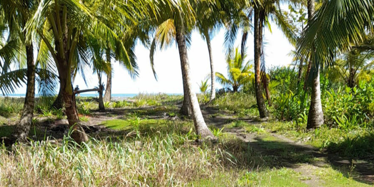 luxurious beachfront casino and resort community in the caribbean coast view 007.jpg