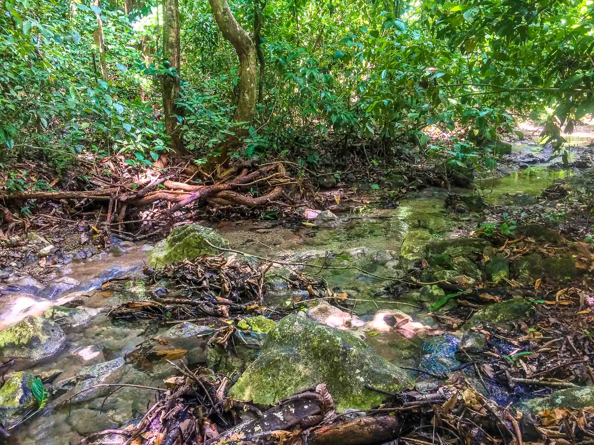 Creek Trail Water Cabo Blanco Reserve