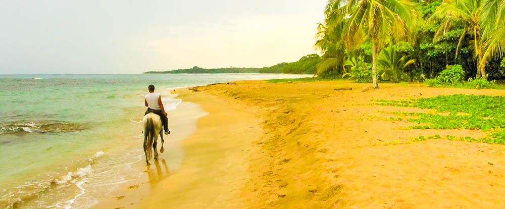 terraventuras beach horseback ride cocles 1.jpg