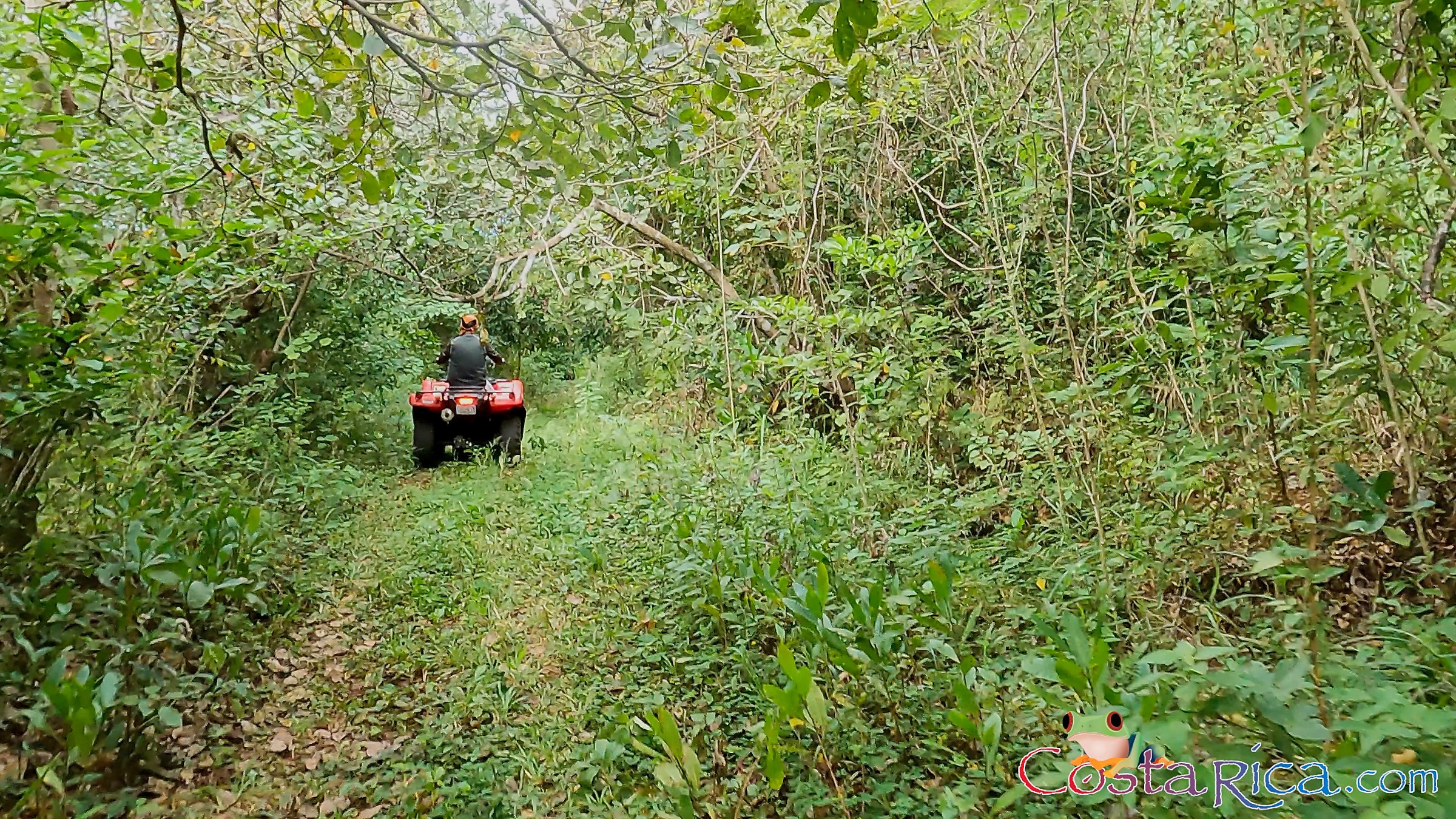 atv nosara tour going through jungle trail area.jpg