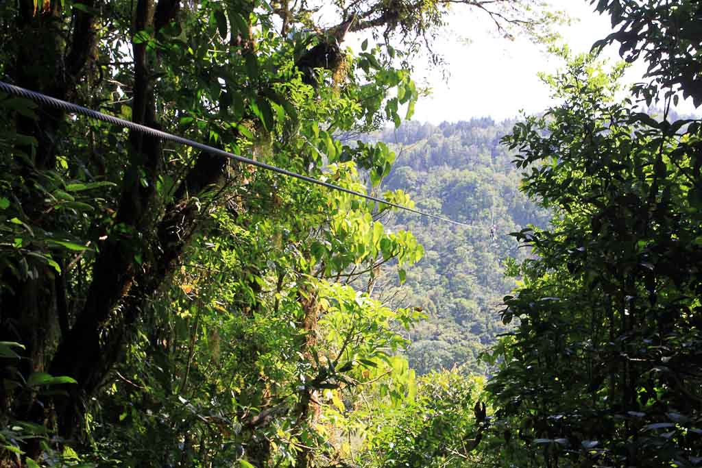 Extremos zipline over valley
