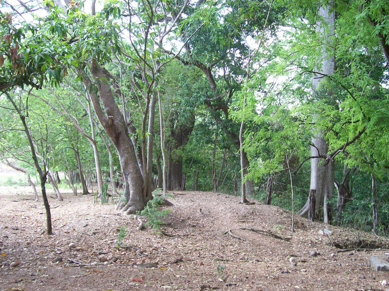land for development near the beach in guanacaste view 009.jpg