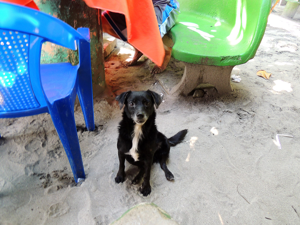 balu restaurant amigo 7.jpg