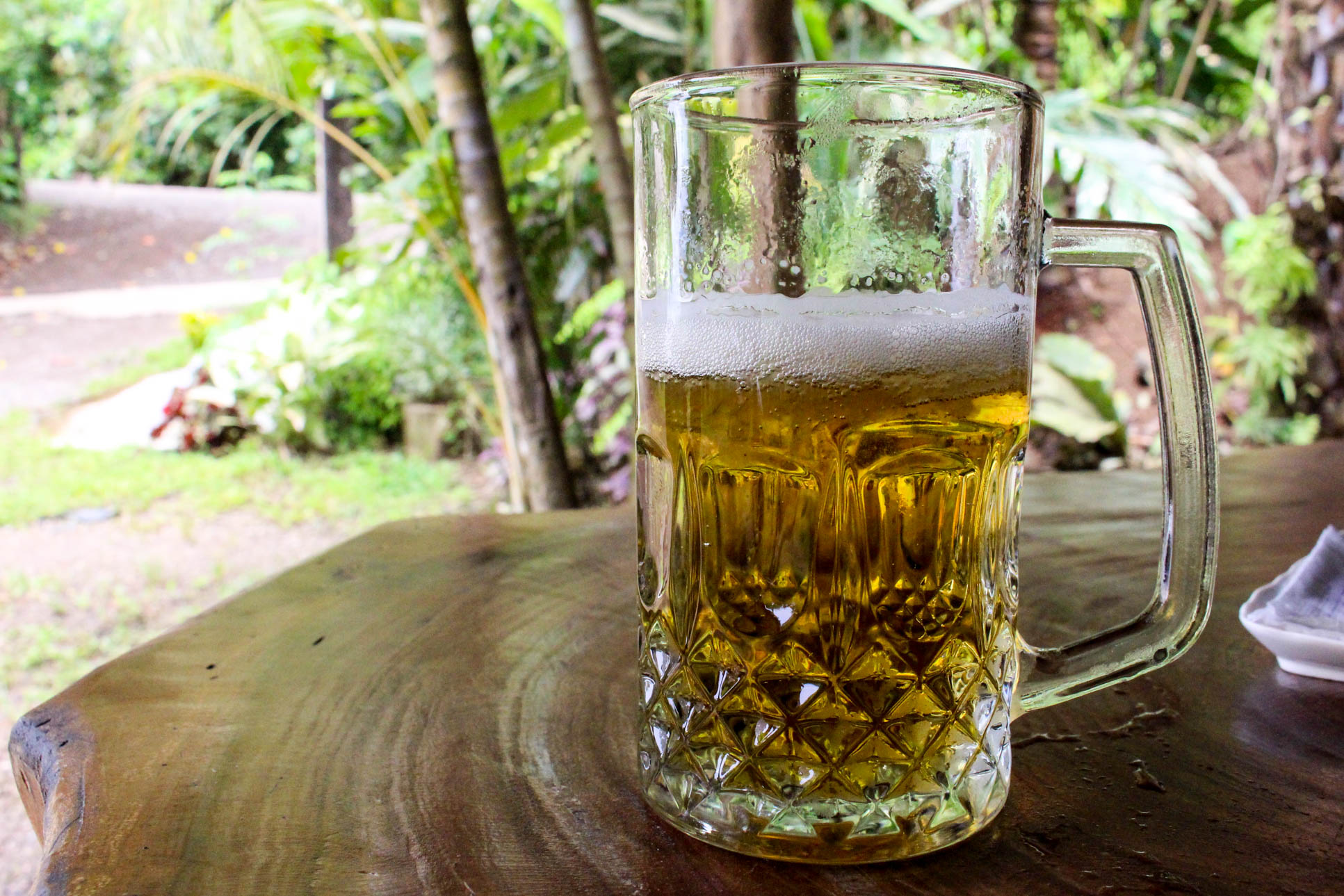 beer casa el tortugo 8.jpg