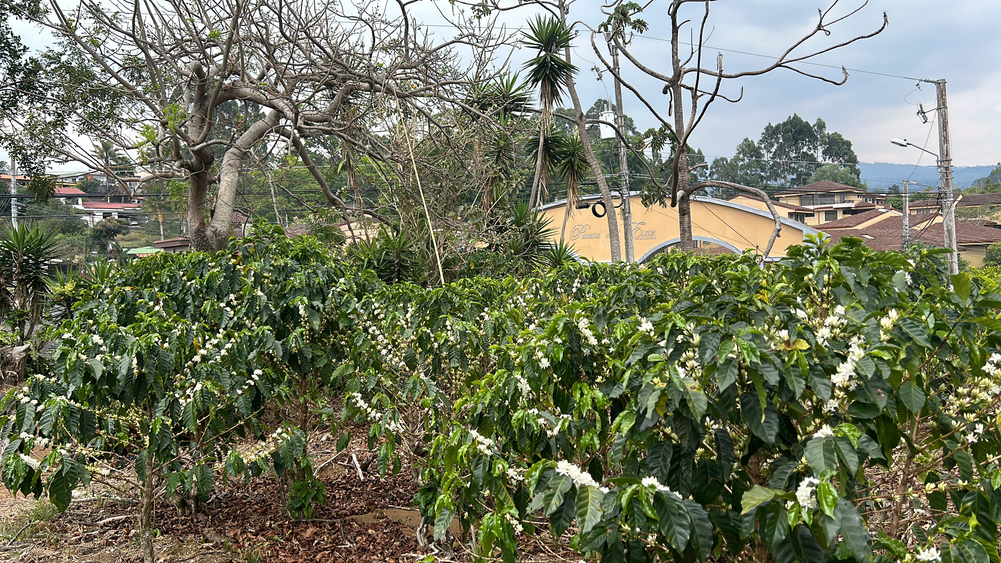 cul de sac residential development lot view 014.jpg