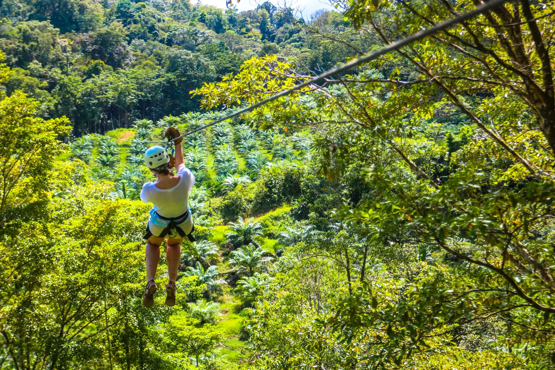 Lady Zip Lining The First Cable Osa Palmas Canopy Tour